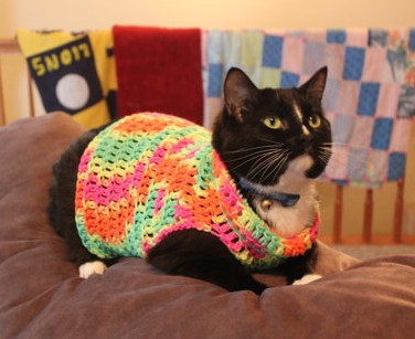 This is called "Jamaican Cat Sweater." I kid you not. NothinWasted