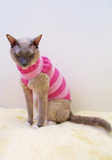 Of course, a search for 