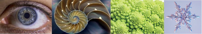 fractal nature composite