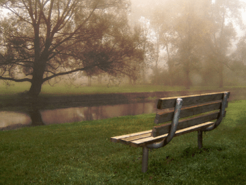 Park-Bench-resized-600