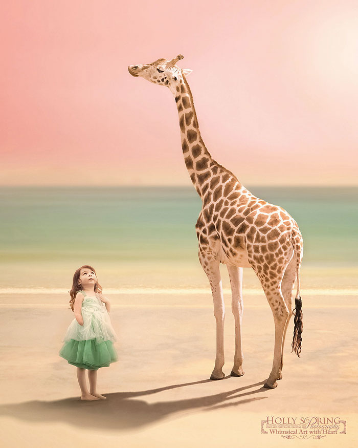 ©Holly Spring (Photographer’s Note: the last image of the Giraffe showing my daughter with the wrong limb difference is intentional for creative purposes and continuity of light and narrative. This image was awarded a Gold at the prestigious NZIPP Epson Iris Awards this year.)