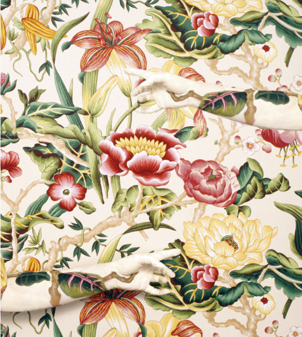 Cecelia Paredes / Rex Features