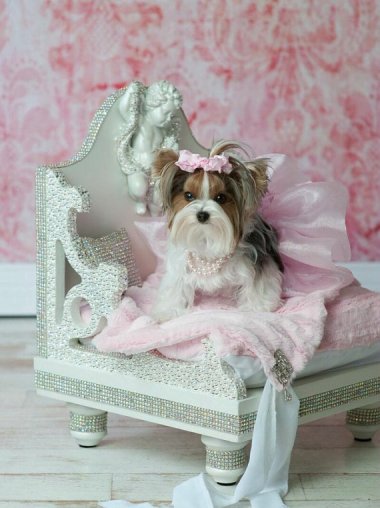 $6,500 will get you this Swarovski Angel Pet Bed by YvetteRuta, selling overpriced dog beds in terrible taste to former strippers who married well for 25 years!