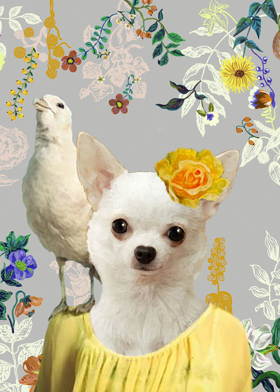 Category: Digital print. Inspiration: Ecstasy and tiny dog. Suggested title: Jonquil and chicken.