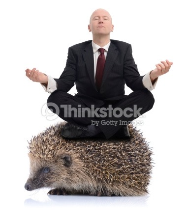 Property of ThinkStock