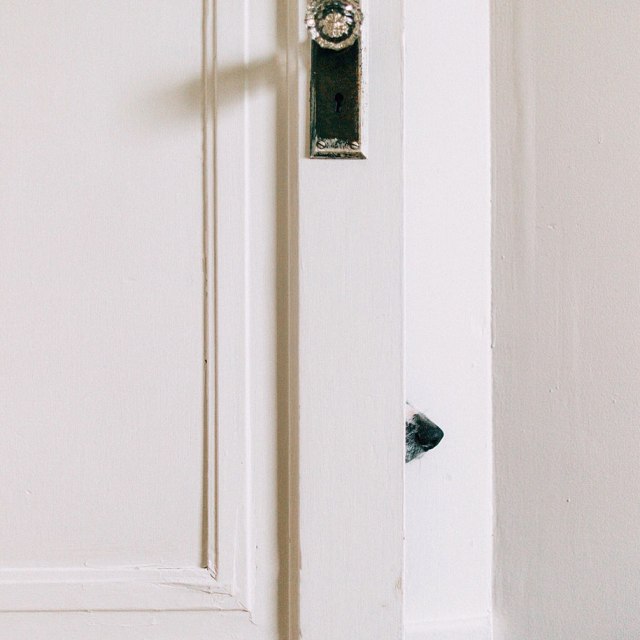 Momo by Andrew Knapp