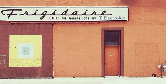 Momo by Andrew Knapp