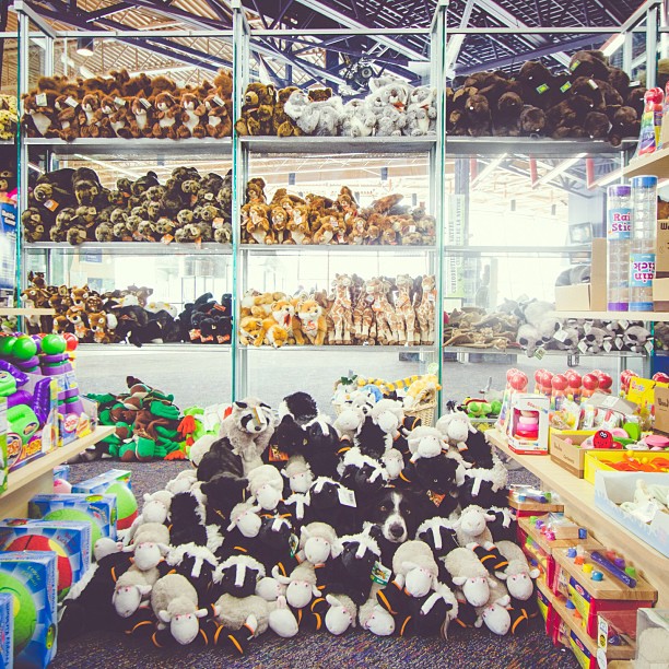 Momo by Andrew Knapp