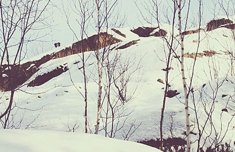 Momo by Andrew Knapp