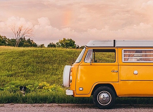 Momo by Andrew Knapp