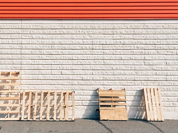 Momo by Andrew Knapp