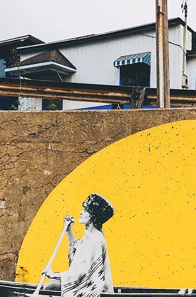 Momo by Andrew Knapp