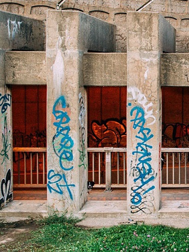 Momo by Andrew Knapp