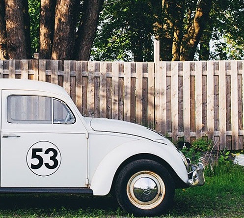 Momo by Andrew Knapp