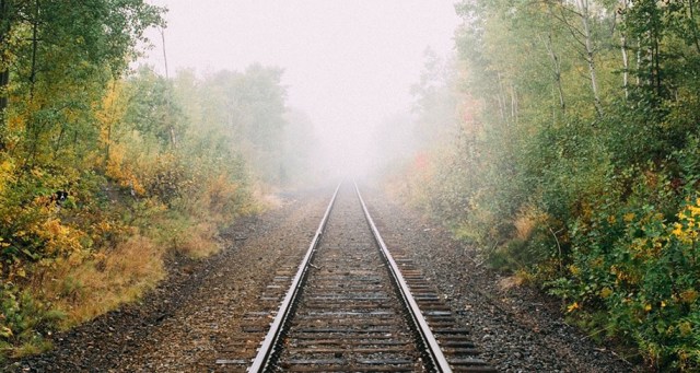 Momo by Andrew Knapp