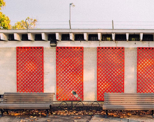 Momo by Andrew Knapp