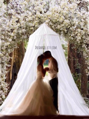 Outdoor wedding? DreamReel has just the thing! You can get married under this barely-disguised (and misspelled) mosquito net!