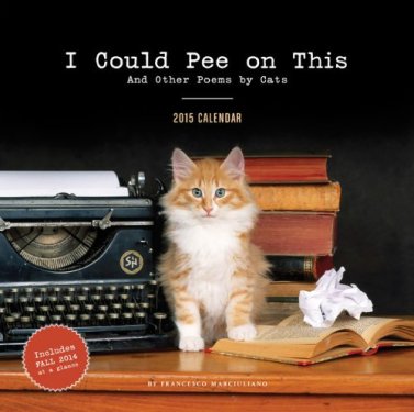 At least the cat people aren't without a sense of humor. I Could Pee on This cat calendar