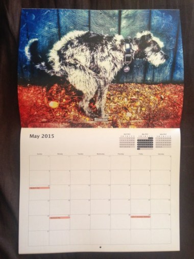 Pooping Pooches 2015 Wall Calendar. By JWagenman