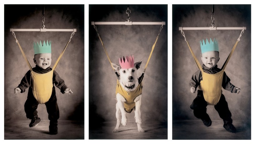 Paddy the costume dog by Peter Thorpe