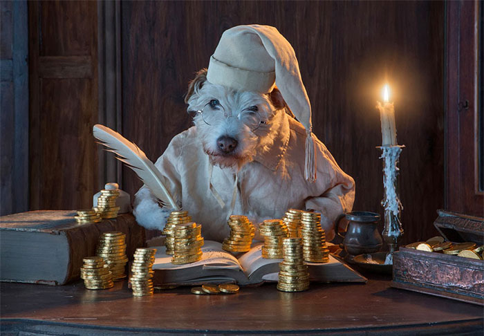 Raggle the costume dog by Peter Thorpe