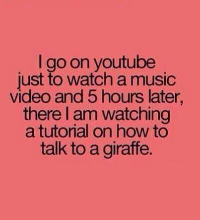 And this is how I find my OBTs. And a whole lot of cat videos.