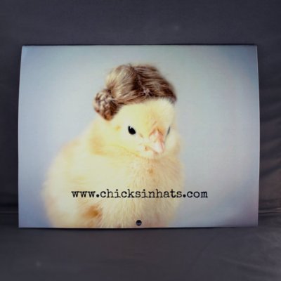 This is my last one. I promise. Epic Chicks in Hats calendar