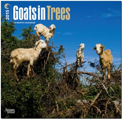 The Goats in Trees calendar is weirdly specific. Who buys these things?