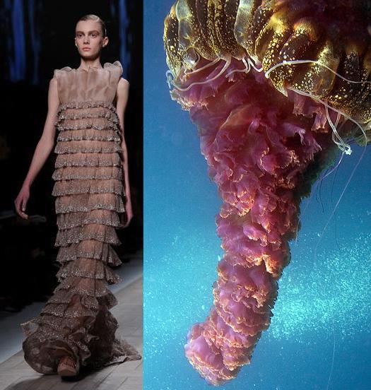 jellyfish-inspired fashion Photo MyModernMet