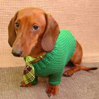 If this came with the tie (and the dog), I might be tempted. Green doggie sweater by GrannysGiftsEU
