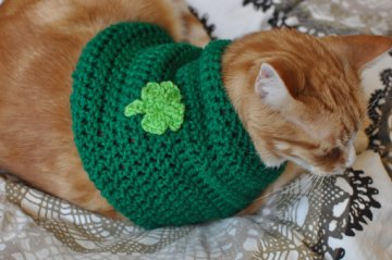 Of course the cat people had to get in on the act. By ToCraftAHome