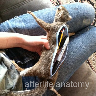 This special non-Etsy bonus nightmare is courtesy of fellow blogger Lila who writes 