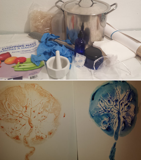 "Do It Yourself Placenta Encapsulation Kit" including such useful items as an Umbilical Cord Keepsake, Placenta Recovery Broth, and a kit to make your own Placenta Prints. Blerg. 