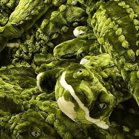 Photo credit Calazans Estudio