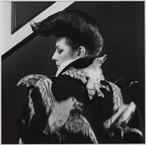 Diane Benson 1980 Robert Mapplethorpe 1946-1989 ARTIST ROOMS Acquired jointly with the National Galleries of Scotland through The d'Offay Donation with assistance from the National Heritage Memorial Fund and the Art Fund 2008 http://www.tate.org.uk/art/work/AR00203