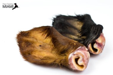 Dehydrated beef ears. If anything is going to push me towards vegetarianism, it's this. By RawFeedingMiami