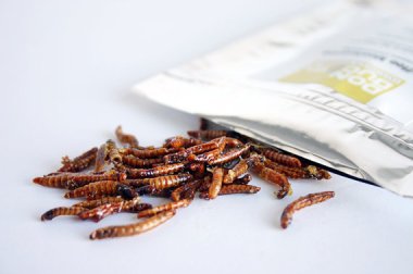 As much as I love toffee - and that's a lot - not even a delicious toffee coating could make me eat mealworms. Blerg. By DonBugito, who offers other flavors, too! (more blerg)