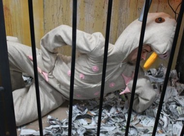 What's more sexy than a naked mole rat costume? How about a naked mole rat in a box? By MissNessaMonster