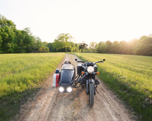 Maddie on Things by Theron Humphrey