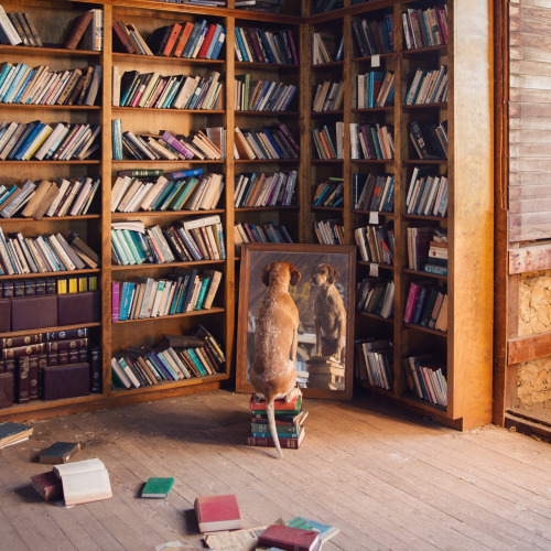 Maddie on Things by Theron Humphrey