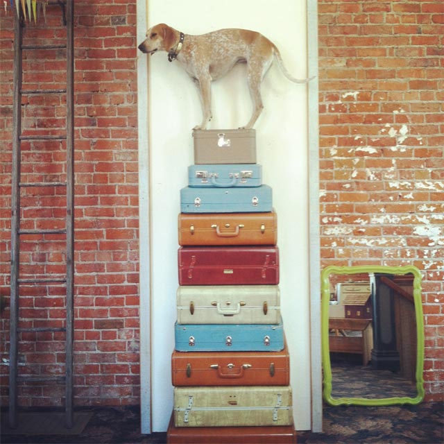 Maddie on Things by Theron Humphrey