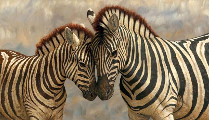 Zebra mother and foal
