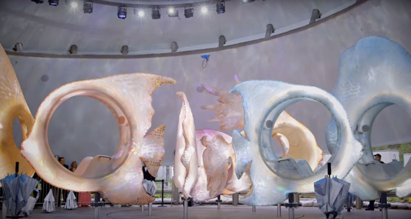 Karsten Moran/The New York Times