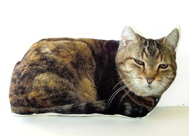 Cat pillow made from your pet's photo. You know what this would be great for? Aspiring-but-allergic cat ladies! All the cats, but none of the smell! By GoGAGA4Art