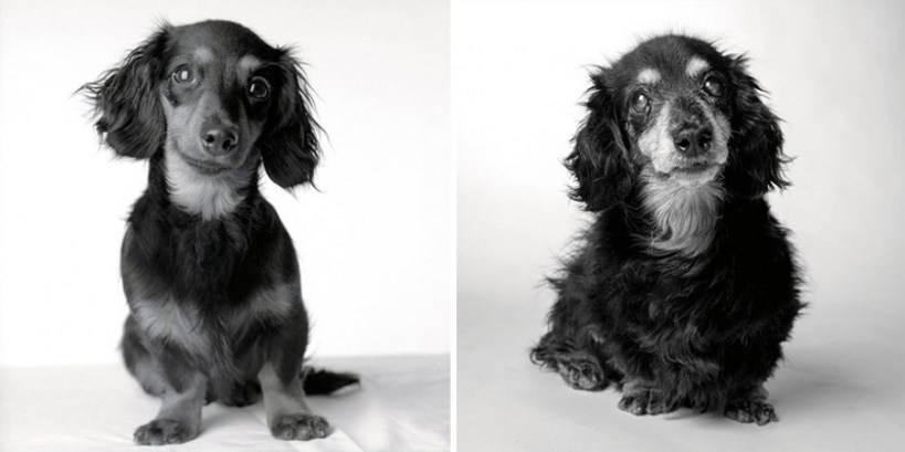 Lily. Photos by Amanda Jones