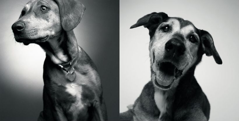 Georgia. Photos by Amanda Jones