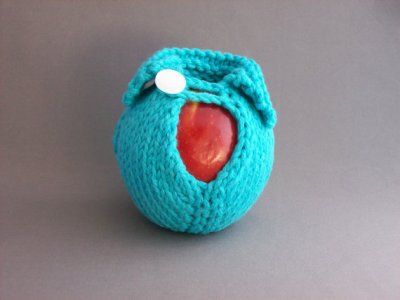 This is an apple jacket. A jacket for your apple. I am serious. That's what it is. By HandmaidenBC, who has a store full of these things