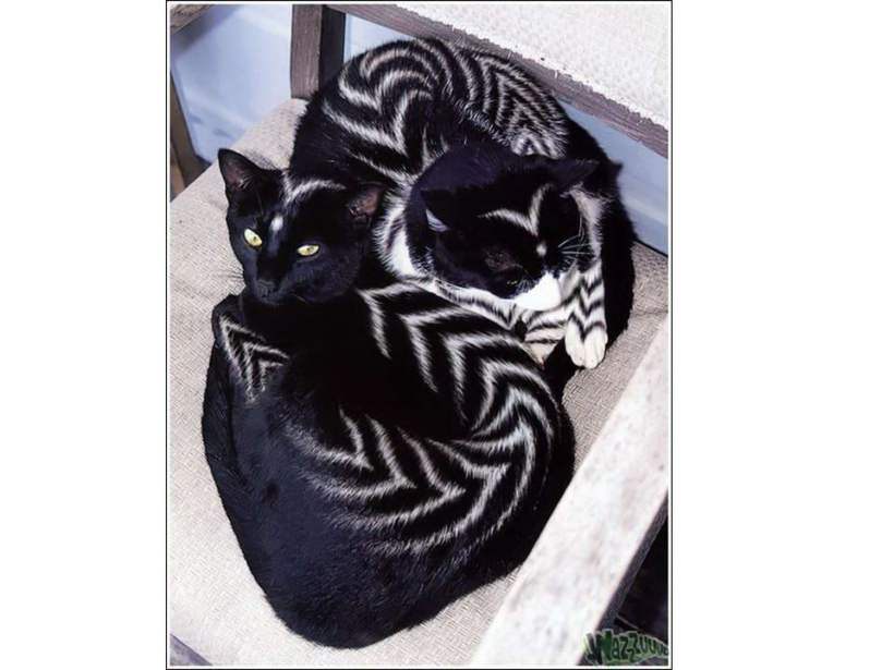 Burton Silver/Heather Busch