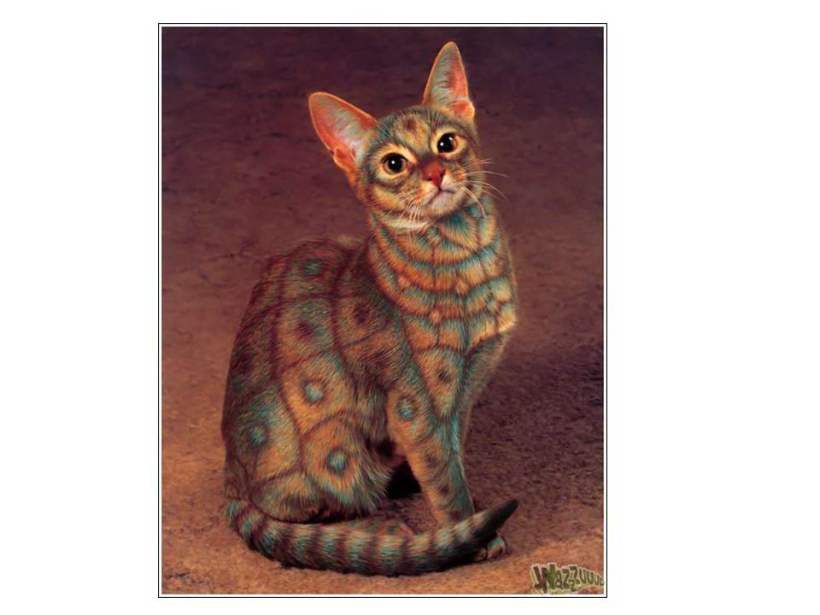 Burton Silver/Heather Busch