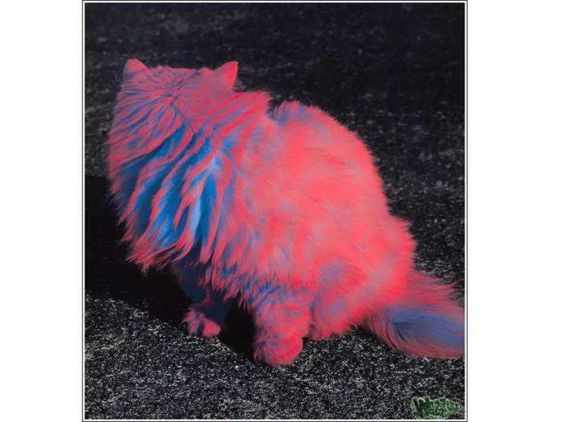 Burton Silver/Heather Busch